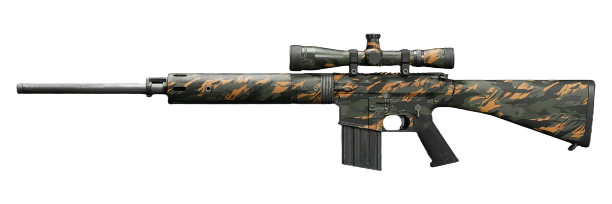 DM-10